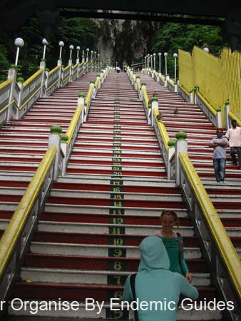 IMG_0120