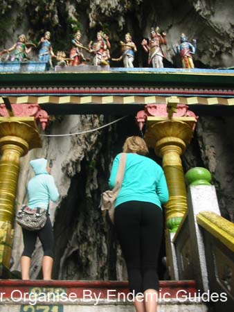 IMG_0122