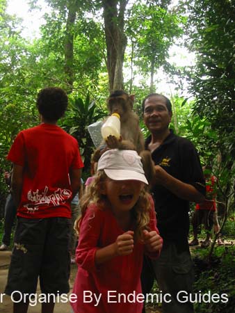IMG_0659
