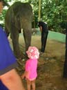 IMG_1261